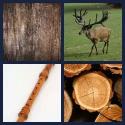 4 images 1 mot niveau 92