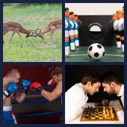 4 images 1 mot niveau 937