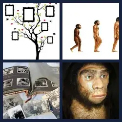 4 images 1 mot niveau 938