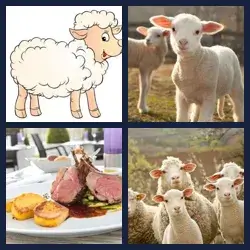 4 images 1 mot niveau 948