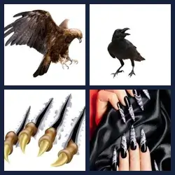 4 images 1 mot niveau 956