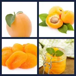 4 images 1 mot niveau 957