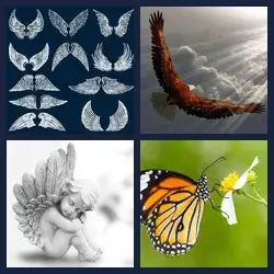 4 images 1 mot niveau 964