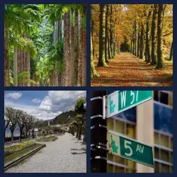 4 images 1 mot niveau 975