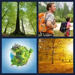 4 images 1 mot niveau 979