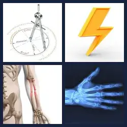 4 images 1 mot niveau 981