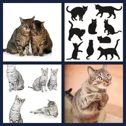 4 images 1 mot niveau 983