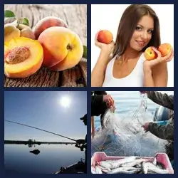 4 images 1 mot niveau 99