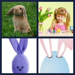 4 images 1 mot niveau 991