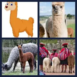 4 images 1 mot niveau 992