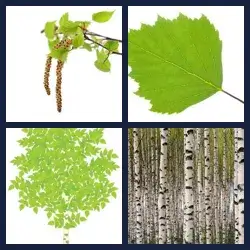 4 images 1 mot niveau 998