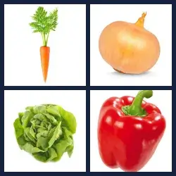 4 images 1 mot niveau 2012