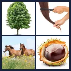 4 images 1 mot niveau 2019