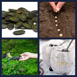 4 images 1 mot niveau 2039