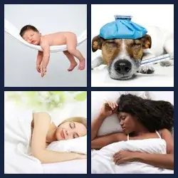4 images 1 mot niveau 2043