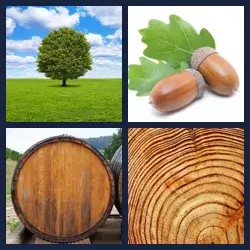 4 images 1 mot niveau 2045