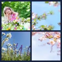 4 images 1 mot niveau 2076
