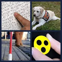 4 images 1 mot niveau 2125