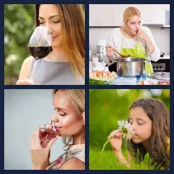 4 images 1 mot niveau 2150