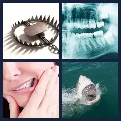 4 images 1 mot niveau 2158