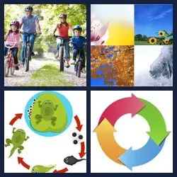 4 images 1 mot niveau 2173