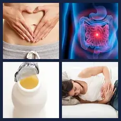4 images 1 mot niveau 2183