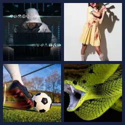4 images 1 mot niveau 2187