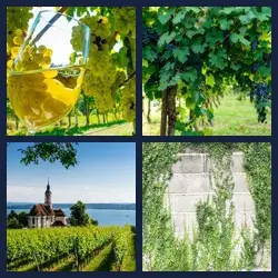 4 images 1 mot niveau 2194
