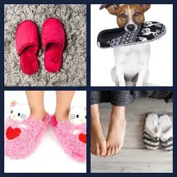 4 images 1 mot niveau 2208