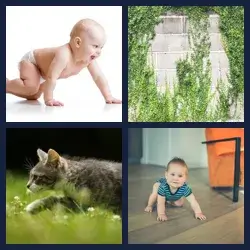 4 images 1 mot niveau 2210