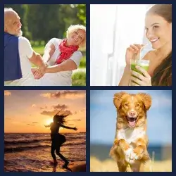 4 images 1 mot niveau 2211