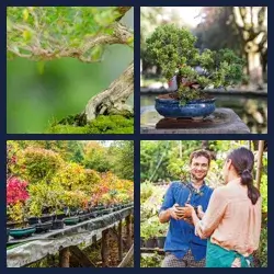 4 images 1 mot niveau 2217