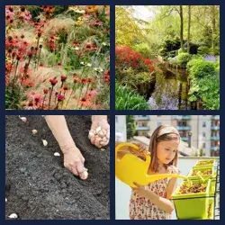 4 images 1 mot niveau 2227