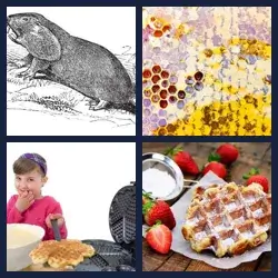 4 images 1 mot niveau 2267