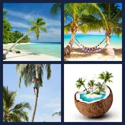 4 images 1 mot niveau 2279